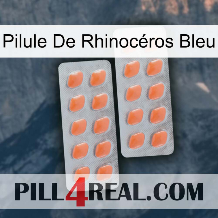 Pilule De Rhinocéros Bleu 27